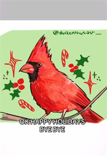 Drawing Northern Cardinal: A Christmas Bird Tutorial