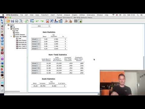Cronbach’s alpha (scale and subscales) on SPSS with Reverse Coding and Write-Up