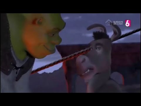 Si se pudo Burro, si se pudo (Origen)