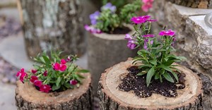 How to Upcycle Wood Logs into Flower Planters in 5 Easy Steps