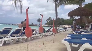 Trying to find a seat in the main library... | The Tab London