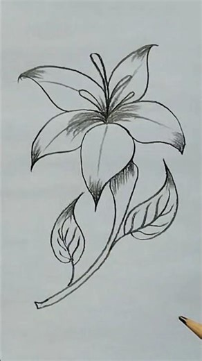 beautiful Easy flower draw for tutorial with pencil #howtodraw #art #easydrawing #pencildrawing