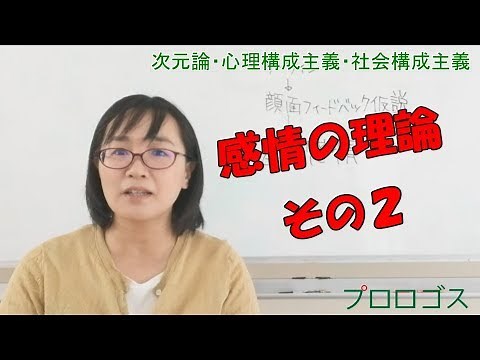 【公認心理師受験】感情の理論その２