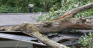 Kin Insurance Claims Center | Help & support for your claim