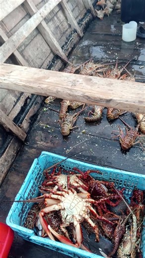 Chelda Fidel (@cheldafidel)’s videos with son original - Chelda Fidel