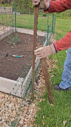 Easily Remove a T-Post Using a Post Driver #postdriver #gardenhacks #fence #lifehacks #gardening