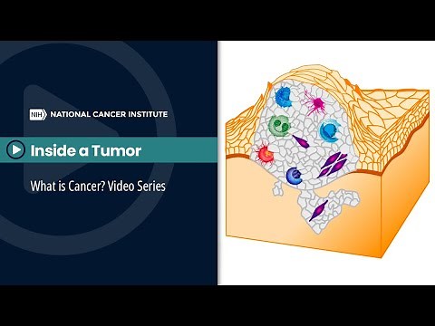 Inside a Tumor: What is Cancer? Video Series