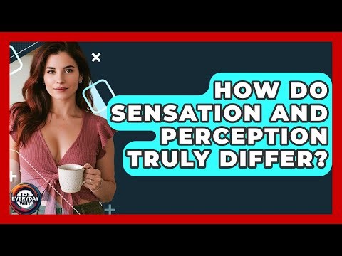 How Do Sensation And Perception Truly Differ? - The Everyday Why