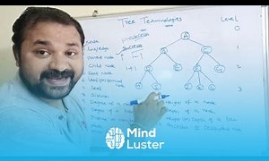 Mind Luster - Learn tree terminology in data structure
