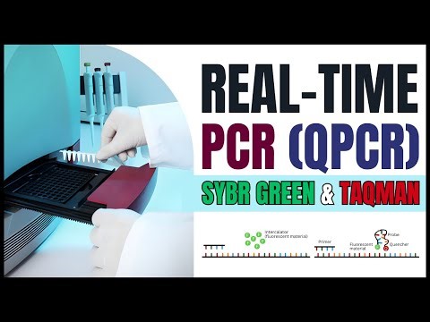 Real Time PCR (qPCR) | Steps, SYBR Green, TaqMan, Workflow & Applications | Molecular Biology
