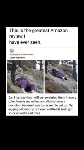 the greatest amazon review in history
