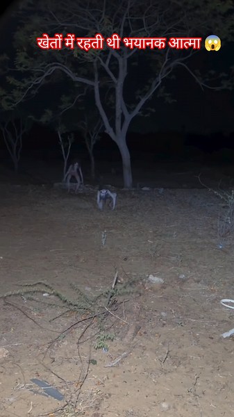 Terrifying spirits living in the fields 😱 #shorts #youtubeshorts #ghost #scary #creepy #bhoot #ha...