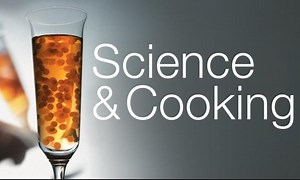 Science & Cooking: Harvard’s Free Course on Making Cakes, Paella & Other Delicious Food