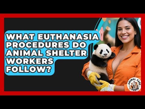 What Euthanasia Procedures Do Animal Shelter Workers Follow? - Animal Care Jobs