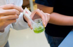 Introduction to Chemistry: Reactions and Ratios - Online Duke