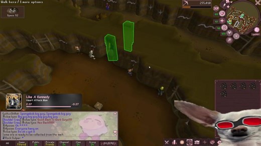 spongebob big guy pants okay