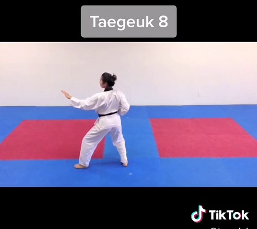 Taegeuk 8 Forms in Taekwondo Training