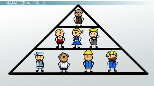 Human Skills in Management | Definition, Importance & Examples