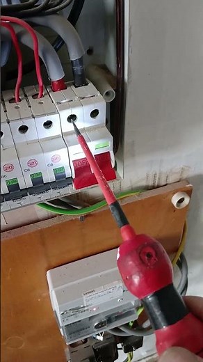 Polarity test. Consumer unit.