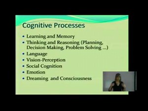 Cognition and Cognitive Processes CP