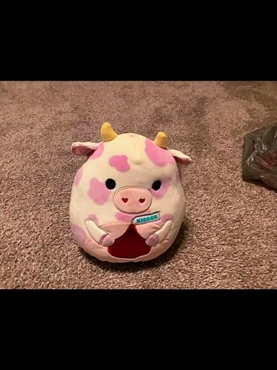 Rare squishmallow collection pt 1