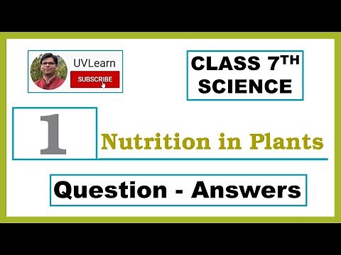 Class 7th Science Chapter 1: Nutrition in Plants - Question-Answers (English Medium)