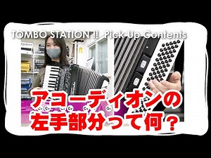 【アコーディオン】アコーディオンの左手のボタンはどうなってるの？【TOMBO STATION!! 切り抜き】
