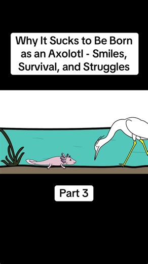 The Struggles of Being an Axolotl: Insights and Survival