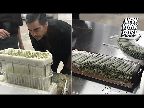 Joint-Rolling Machine Rolls 100 Joints in 5 Minutes | New York Post
