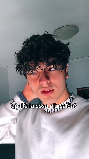 Understanding Earth's Environment: Core Composition Insights