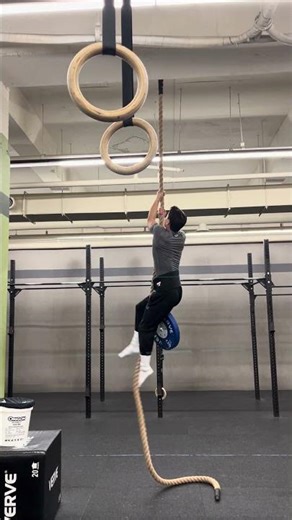 택견선수 로프 20kg