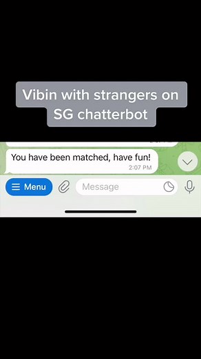 Vibin with Strangers on SG Chatterbot