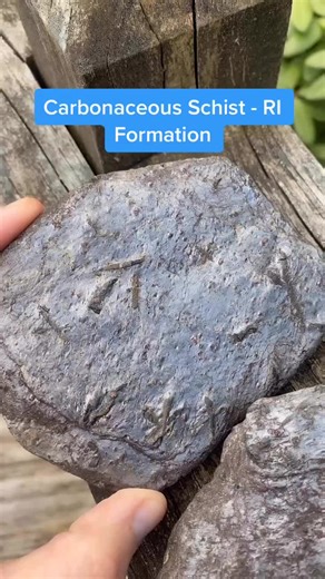 Exploring Carbonaceous Schist in Geology: RI Formation