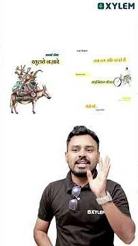 Class 8 Hindi : Christmas Exam / എന്തൊക്കെ പഠിക്കണം ? | Xylem Class 8