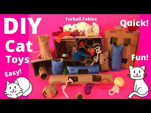 Easy DIY Cat Toys from Stuff you have around the House