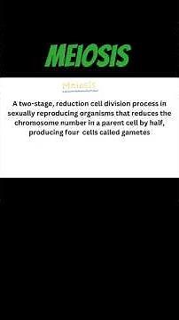 Cell division||mitosis and meiosis||class 9th||science||chapter 5||cell||mitosis||meiosis