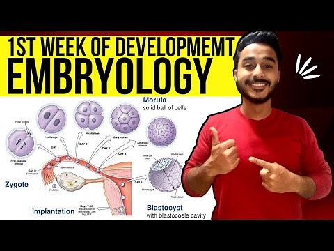 general embryology anatomy | first week of development embryology | Johari MBBS