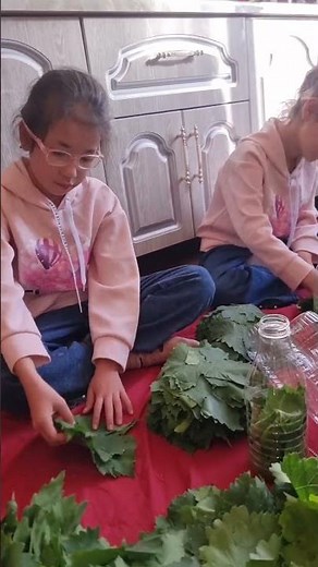 How I Preserve Grape Leaves for Winter – Easy & Proven Method