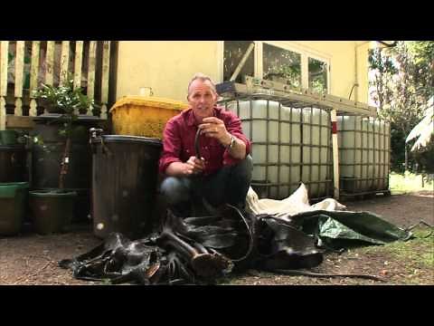 How to use seaweed in the garden