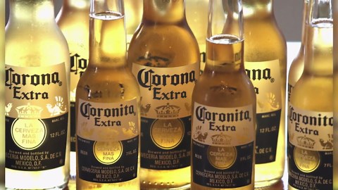 Trump immigration push hits Modelo, Corona sales hard
