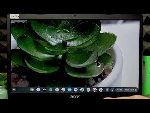 ACER Chromebook 315 – How to Zoom the Screen (Full Screen & Dock Magnifier)