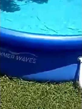 Polygroup Summer Waves Pool!