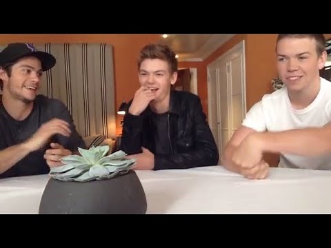 The Maze Runner - Cast Interview