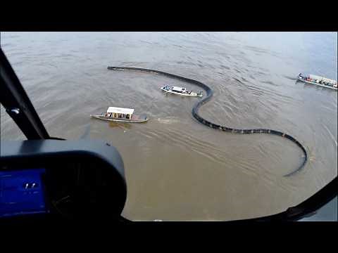 Giant Anaconda Filmed from Helicopter in the Amazon River – Shocking Encounter with Fishing Boats AI