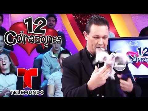 A Magic love trick 🪄🖤 | 12 Corazones Full Episode | Telemundo English