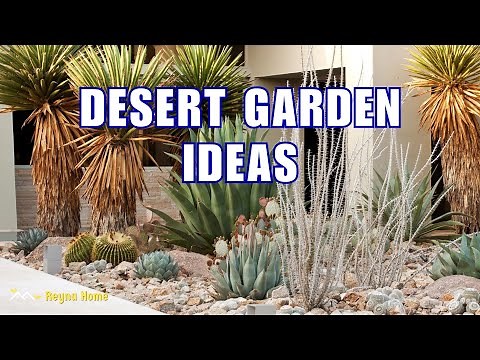 Desert Oasis Garden Ideas For Arid Climates Desert Landscape Front Yard