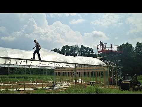Hydroponic Greenhouse Build From Start to Finish