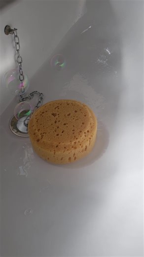 bubbles sponge squeeze soo sudsy #sudsyspongesqueezing #sudsyspongesqueeze #sudsysponge #sudsybubbles #sudsyspongeplay #cleantok #fyp ##fypspongesqueeze