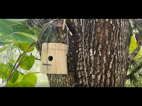 DIY Hummingbird House.