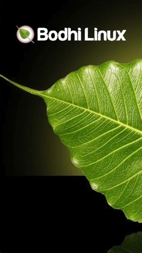 Teaser: Bodhi Linux 7: Installation, Review and Performance Test #benchmark #linuxdistro #shorts